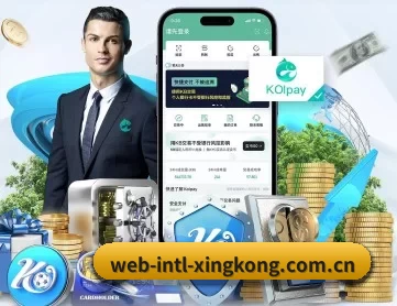 星空体育入口 APP 深度功能