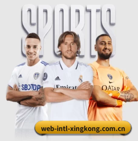 赛事数据与深度分析